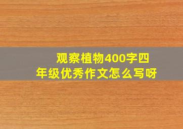 观察植物400字四年级优秀作文怎么写呀