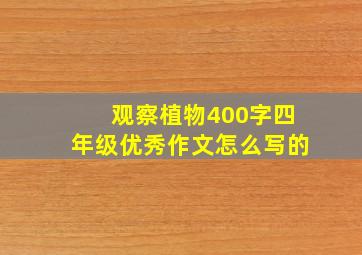 观察植物400字四年级优秀作文怎么写的