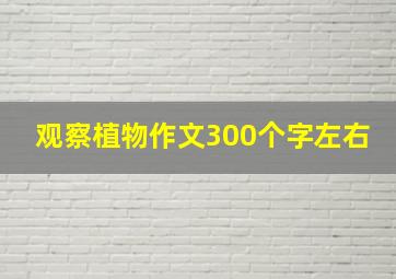 观察植物作文300个字左右