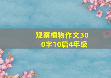 观察植物作文300字10篇4年级