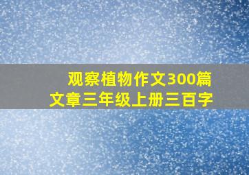 观察植物作文300篇文章三年级上册三百字