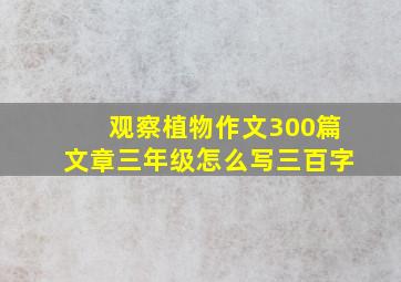 观察植物作文300篇文章三年级怎么写三百字