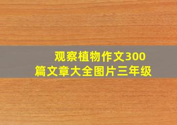 观察植物作文300篇文章大全图片三年级