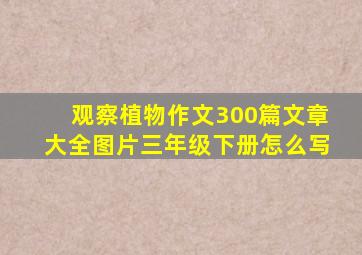 观察植物作文300篇文章大全图片三年级下册怎么写