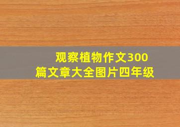 观察植物作文300篇文章大全图片四年级