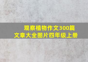 观察植物作文300篇文章大全图片四年级上册