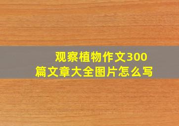 观察植物作文300篇文章大全图片怎么写