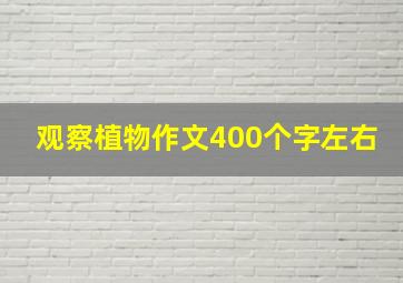 观察植物作文400个字左右