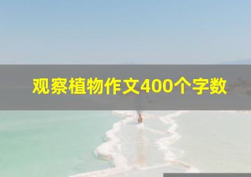 观察植物作文400个字数