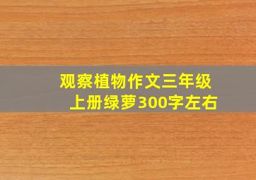 观察植物作文三年级上册绿萝300字左右