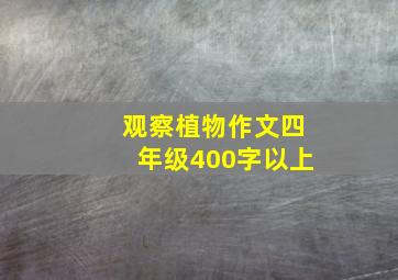 观察植物作文四年级400字以上