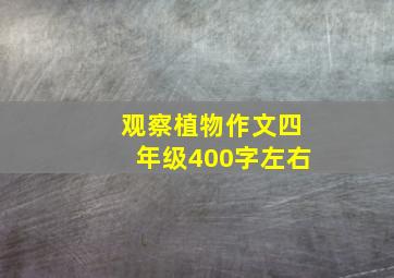 观察植物作文四年级400字左右