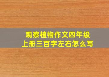 观察植物作文四年级上册三百字左右怎么写