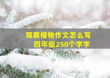 观察植物作文怎么写四年级250个字字