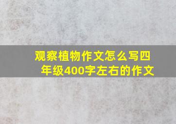 观察植物作文怎么写四年级400字左右的作文