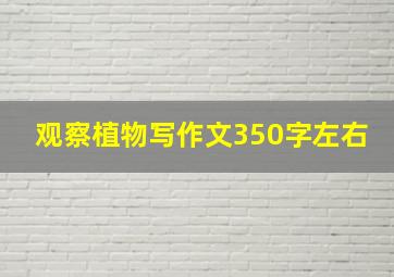 观察植物写作文350字左右