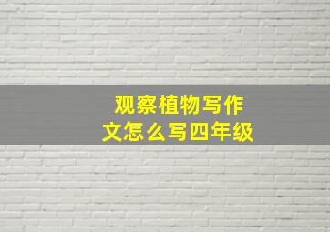 观察植物写作文怎么写四年级