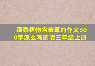 观察植物含羞草的作文300字怎么写的呢三年级上册