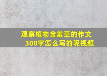 观察植物含羞草的作文300字怎么写的呢视频