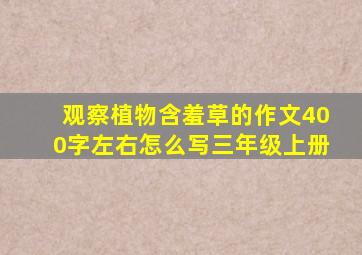 观察植物含羞草的作文400字左右怎么写三年级上册