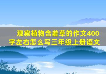 观察植物含羞草的作文400字左右怎么写三年级上册语文