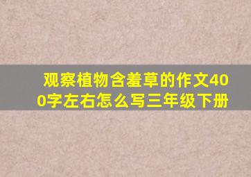 观察植物含羞草的作文400字左右怎么写三年级下册