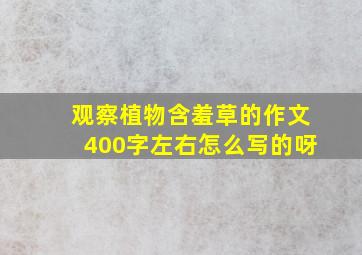 观察植物含羞草的作文400字左右怎么写的呀