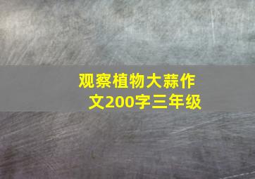 观察植物大蒜作文200字三年级