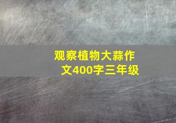 观察植物大蒜作文400字三年级