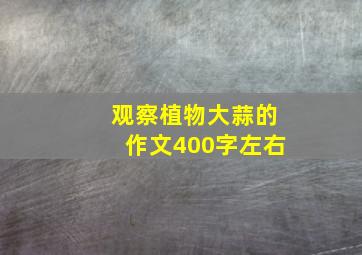 观察植物大蒜的作文400字左右