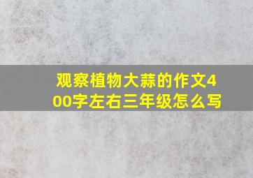 观察植物大蒜的作文400字左右三年级怎么写