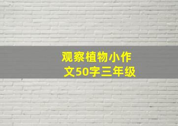 观察植物小作文50字三年级