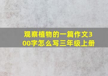 观察植物的一篇作文300字怎么写三年级上册