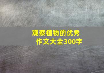 观察植物的优秀作文大全300字