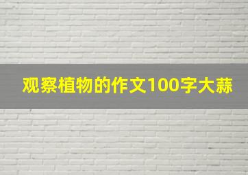 观察植物的作文100字大蒜