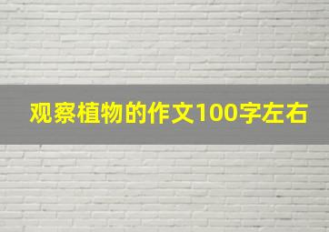 观察植物的作文100字左右