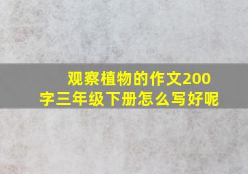 观察植物的作文200字三年级下册怎么写好呢