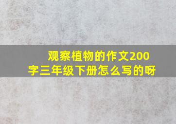 观察植物的作文200字三年级下册怎么写的呀