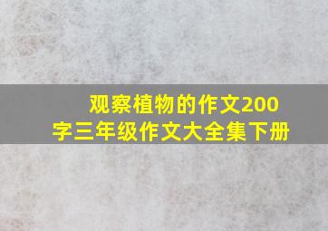 观察植物的作文200字三年级作文大全集下册