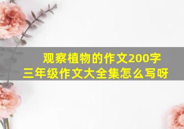 观察植物的作文200字三年级作文大全集怎么写呀