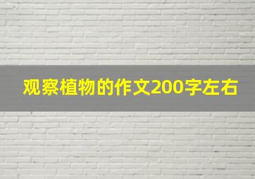 观察植物的作文200字左右