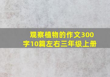 观察植物的作文300字10篇左右三年级上册