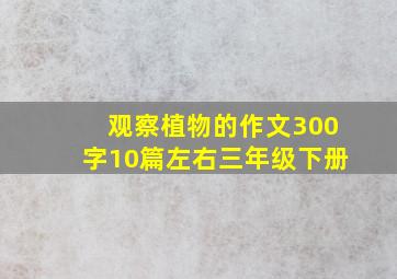 观察植物的作文300字10篇左右三年级下册