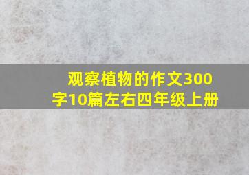 观察植物的作文300字10篇左右四年级上册