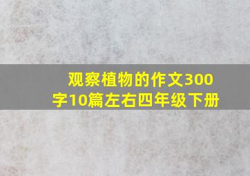 观察植物的作文300字10篇左右四年级下册