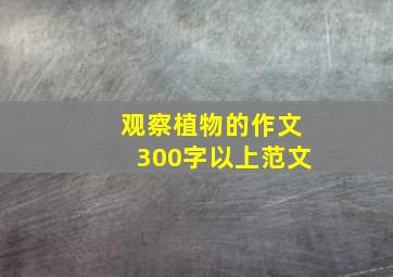 观察植物的作文300字以上范文