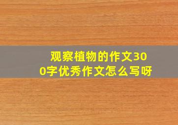 观察植物的作文300字优秀作文怎么写呀