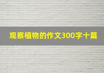 观察植物的作文300字十篇