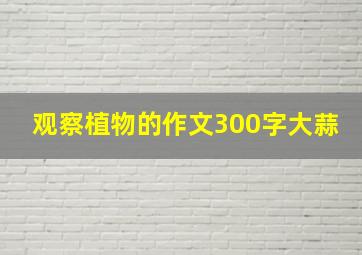 观察植物的作文300字大蒜