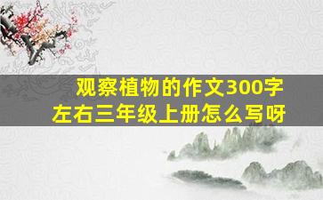 观察植物的作文300字左右三年级上册怎么写呀